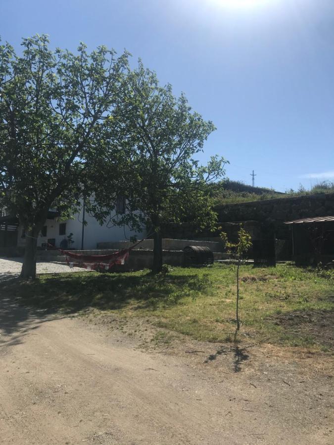 הוילה גימראייש Casa Nova מראה חיצוני תמונה